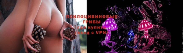 герыч Беломорск